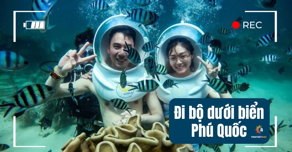 Đi bộ dưới biển Phú Quốc - Khám phá đại dương xanh huyền ảo